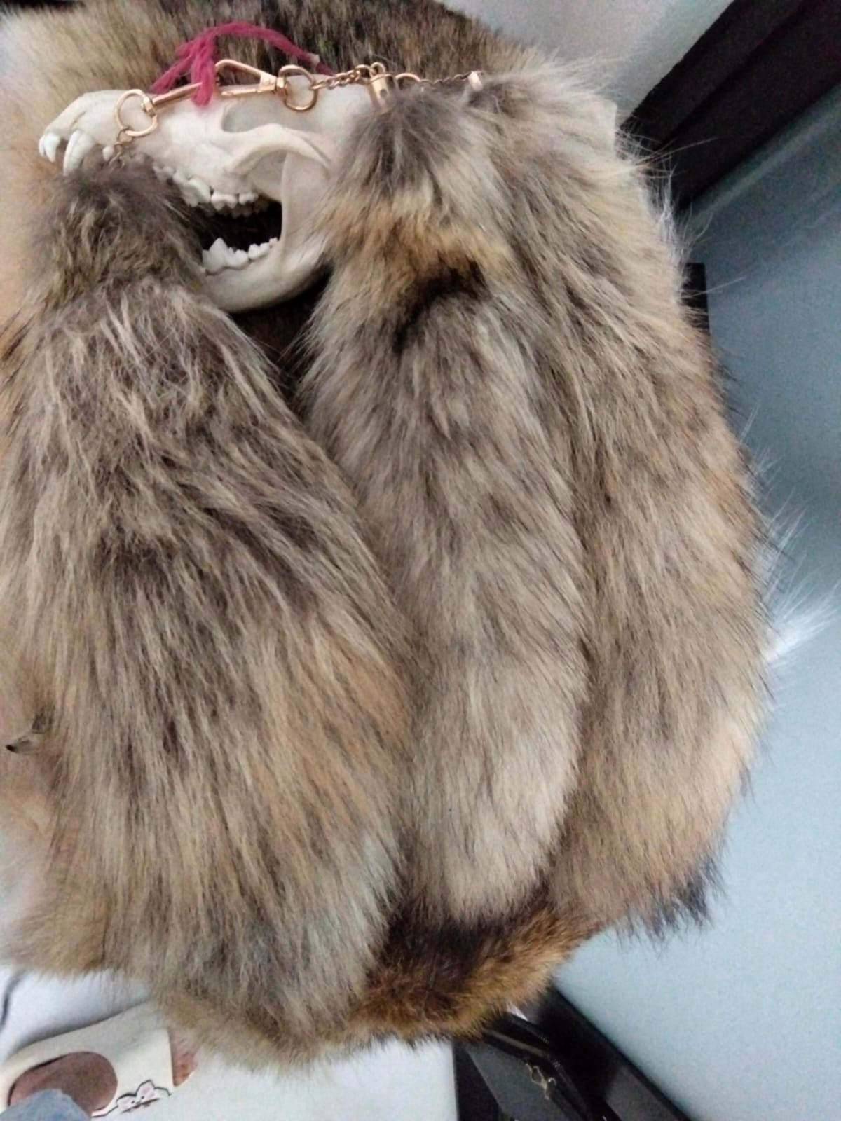 Colitas y cráneos