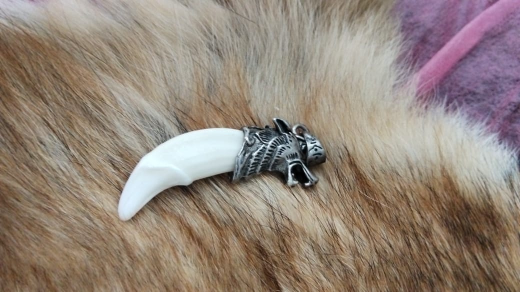 Dije piedra de coyote