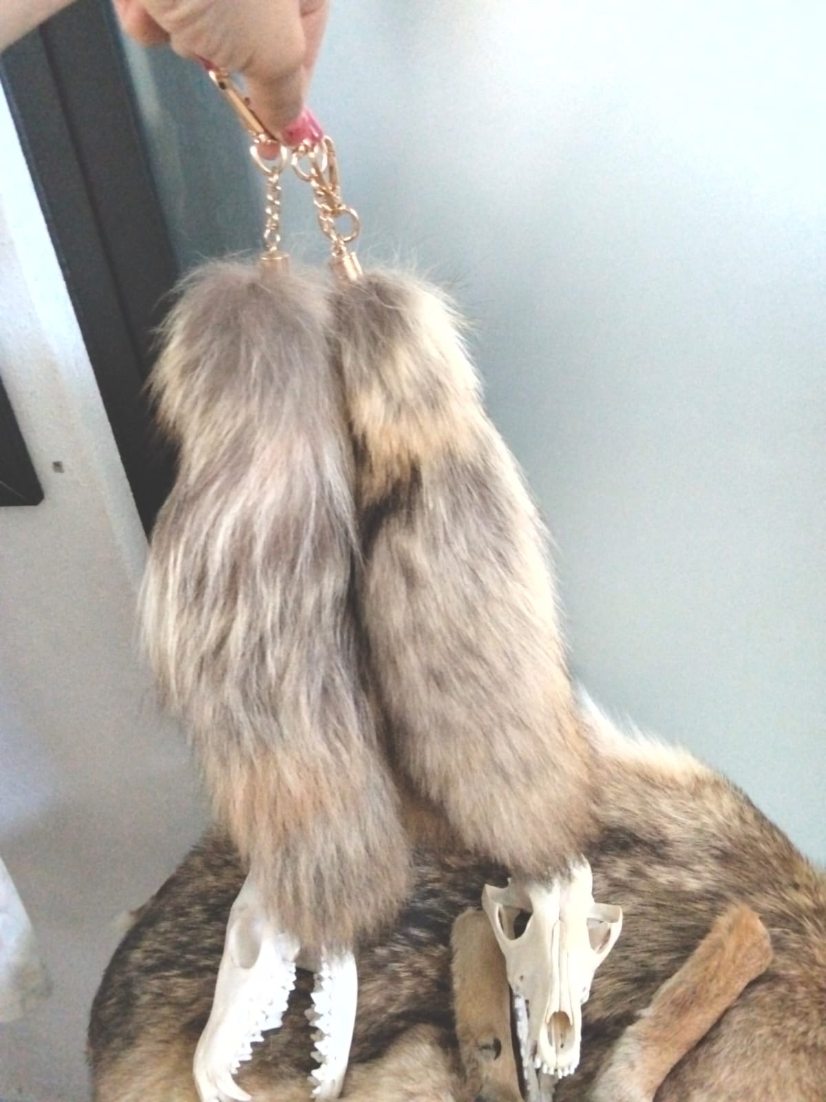 Piezas COYOTL