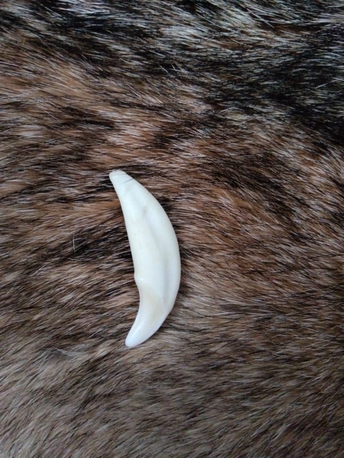 Detalle de patita
